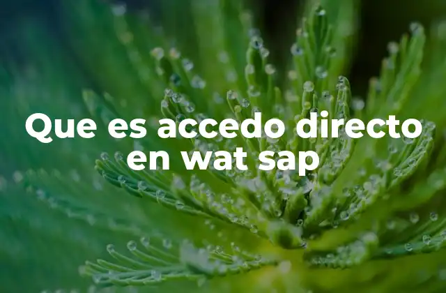 Que es Accedo Directo en Wat Sap