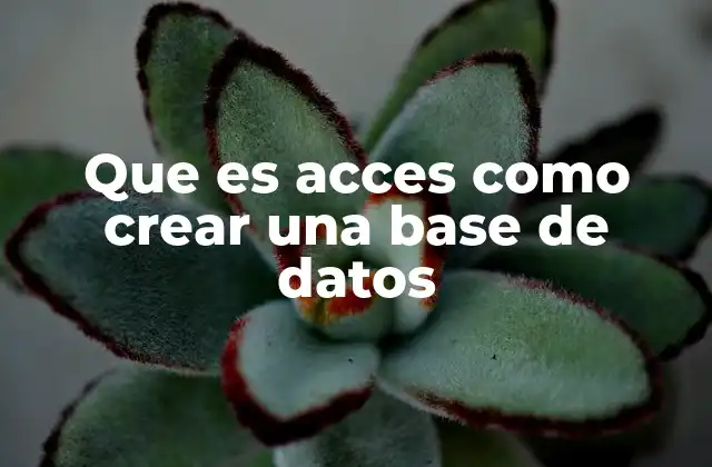 Que es Acces como Crear una Base de Datos