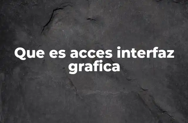 Que es Acces Interfaz Grafica