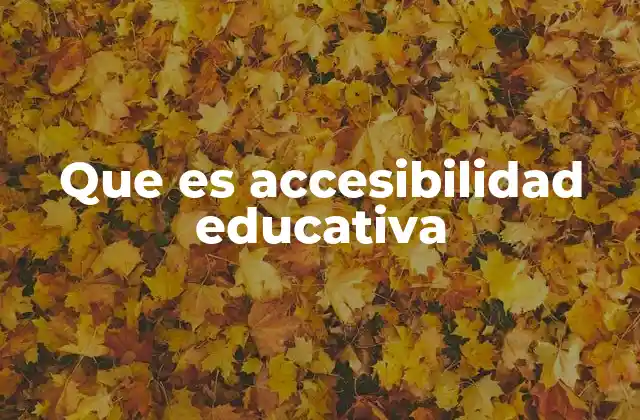 Que es Accesibilidad Educativa