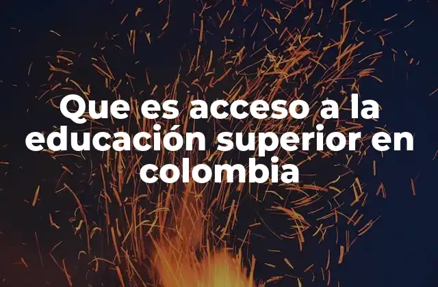 Que es Acceso a la Educación Superior en Colombia 2 El rol del Estado en la democratización del acceso a la educación superior