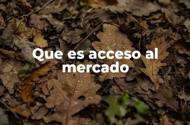 Que es Acceso Al Mercado