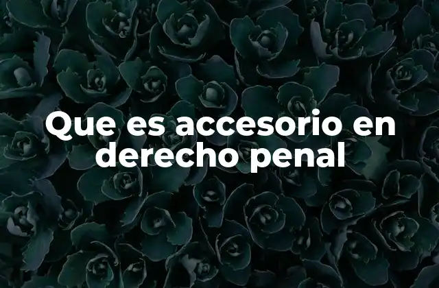 Que es Accesorio en Derecho Penal