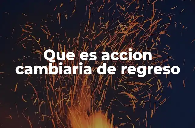 Que es Accion Cambiaria de Regreso