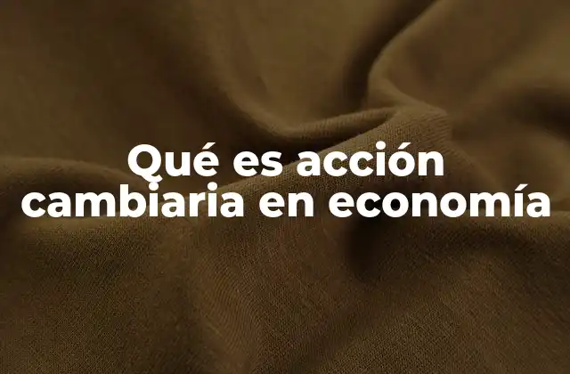 Qué es Acción Cambiaria en Economía