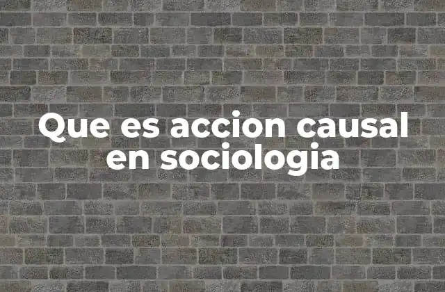 Que es Accion Causal en Sociologia