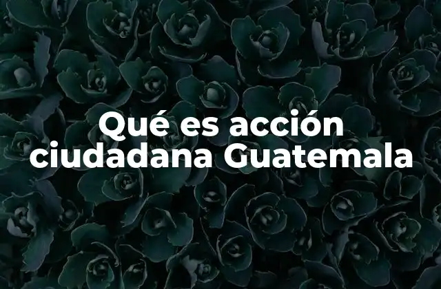 Qué es Acción Ciudadana Guatemala
