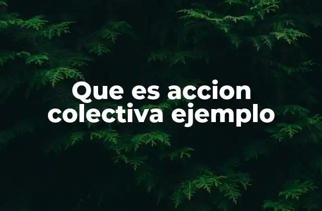 Que es Accion Colectiva Ejemplo