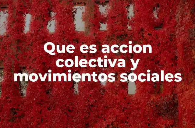 Que es Accion Colectiva y Movimientos Sociales