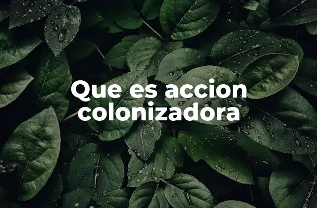 Que es Accion Colonizadora