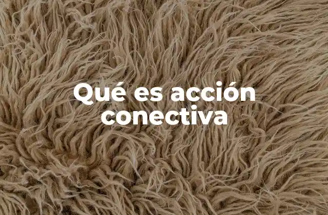 Qué es Acción Conectiva