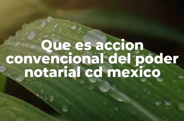 Que es Accion Convencional Del Poder Notarial Cd Mexico