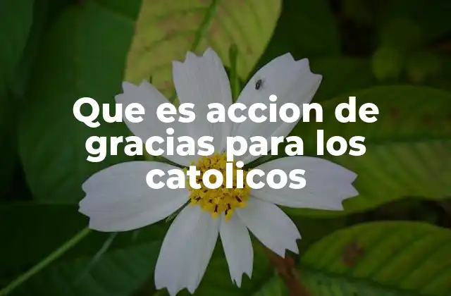 Que es Accion de Gracias para los Catolicos
