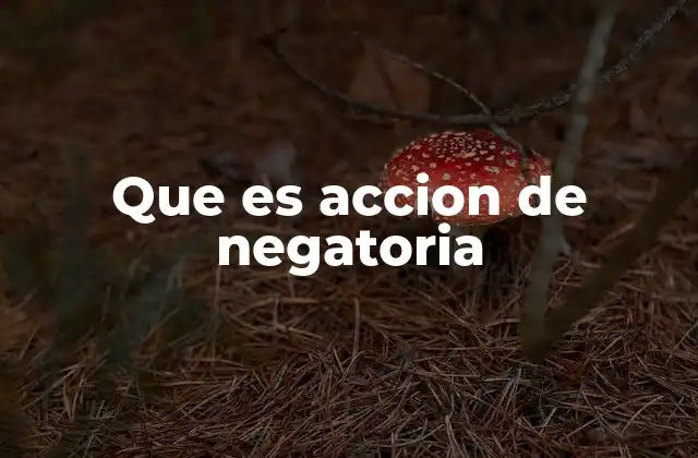 Que es Accion de Negatoria 2 El derecho a objetar pruebas en el proceso penal