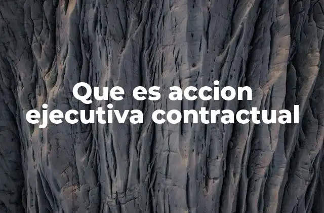 Que es Accion Ejecutiva Contractual