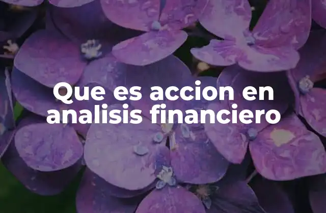 Que es Accion en Analisis Financiero
