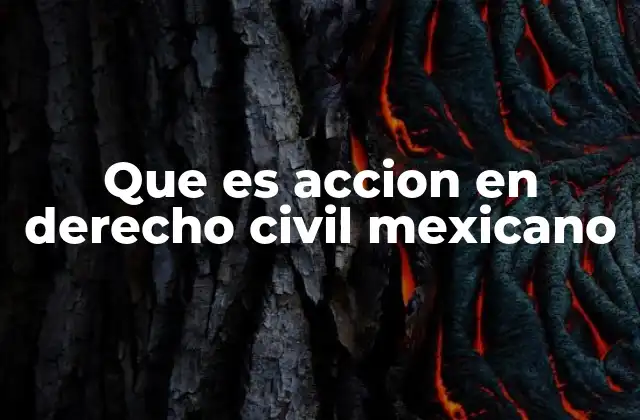 Que es Accion en Derecho Civil Mexicano