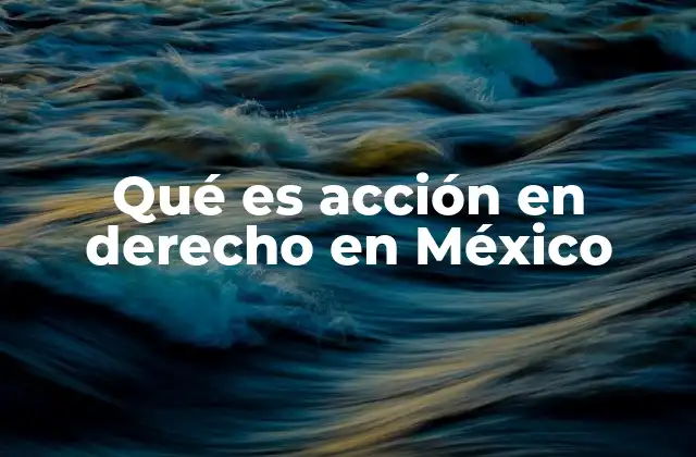 Qué es Acción en Derecho en México