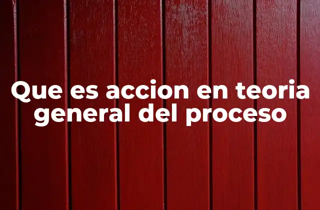 Que es Accion en Teoria General Del Proceso