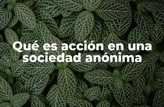 Qué es Acción en una Sociedad Anónima 2 La importancia de las acciones en la estructura de una empresa
