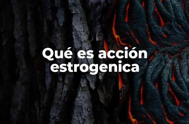 El papel de los estrógenos en el organismo