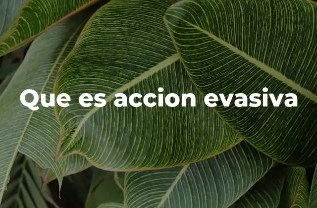 Que es Accion Evasiva