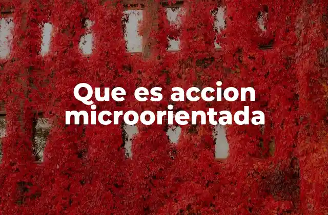 Que es Accion Microorientada
