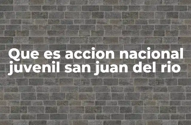 Que es Accion Nacional Juvenil San Juan Del Rio