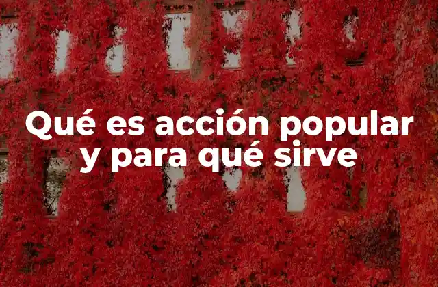 Qué es Acción Popular y para Qué Sirve