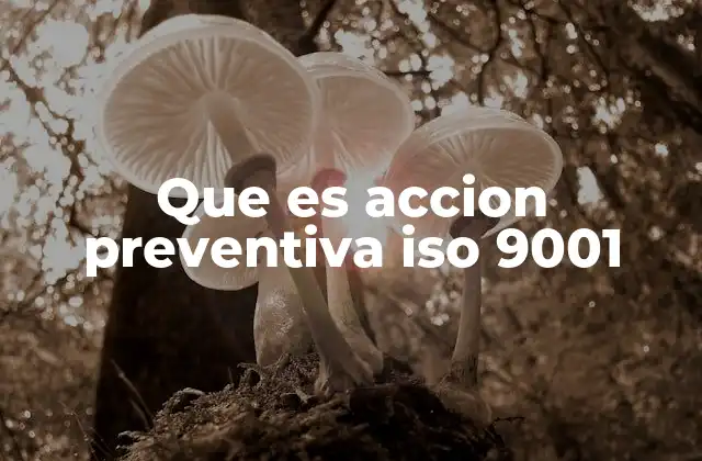 Que es Accion Preventiva Iso 9001
