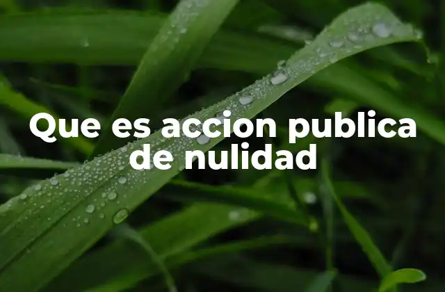 Que es Accion Publica de Nulidad