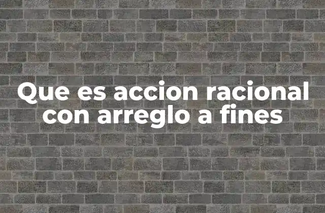 Que es Accion Racional con Arreglo a Fines
