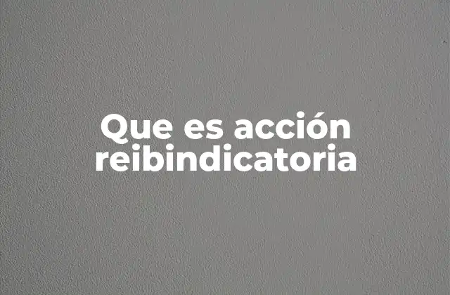 Que es Acción Reibindicatoria