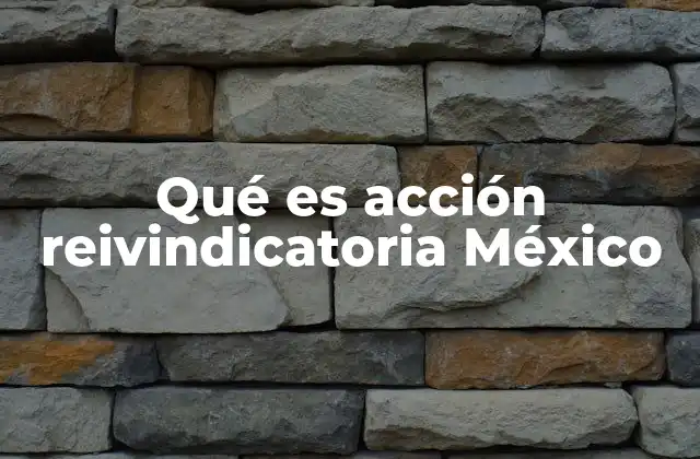 Qué es Acción Reivindicatoria México