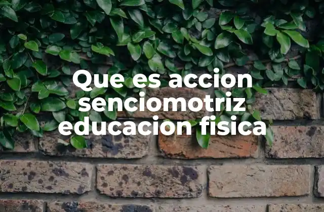 Que es Accion Senciomotriz Educacion Fisica