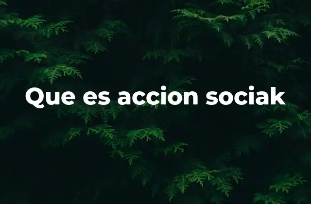 Que es Accion Sociak