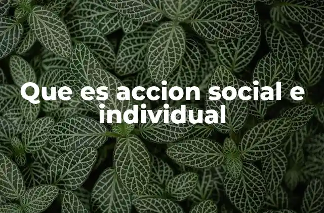 Que es Accion Social e Individual