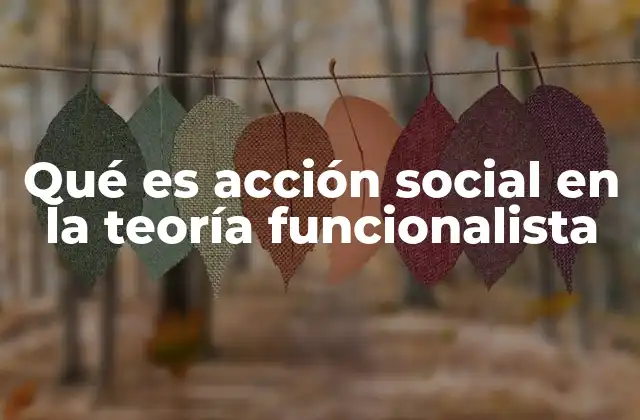 Qué es Acción Social en la Teoría Funcionalista 2 La interacción social como base de la acción funcionalista