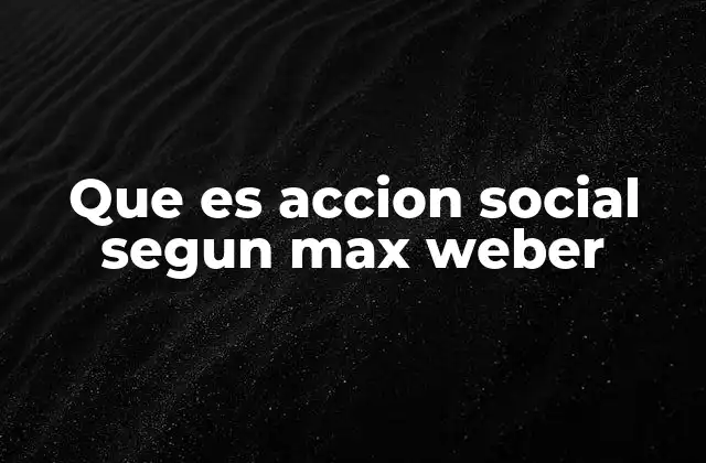 Que es Accion Social Segun Max Weber