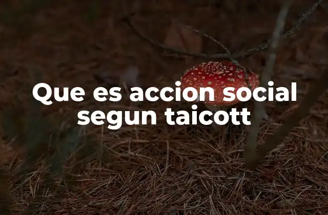 Que es Accion Social Segun Taicott