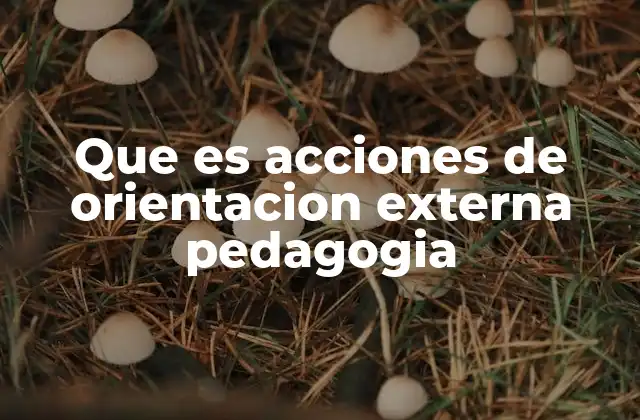 Que es Acciones de Orientacion Externa Pedagogia
