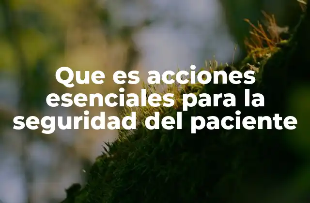 Que es Acciones Esenciales para la Seguridad Del Paciente