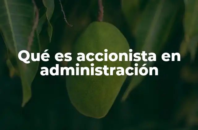 Qué es Accionista en Administración