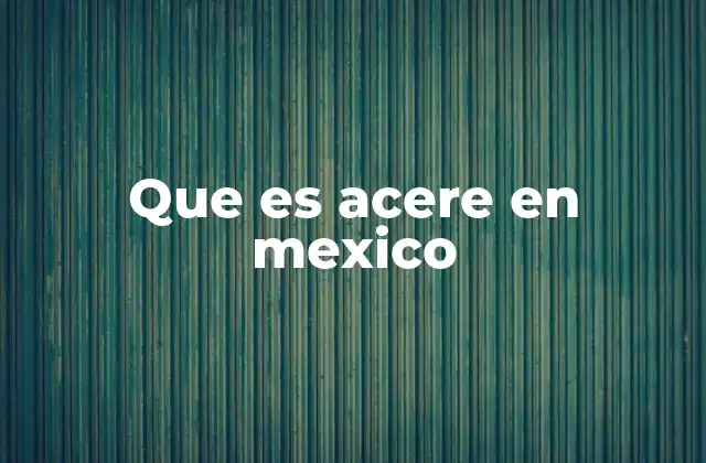 Que es Acere en Mexico 2 El rol de ACERE en la educación superior mexicana