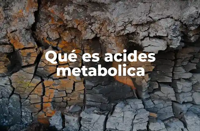 Qué es Acides Metabolica