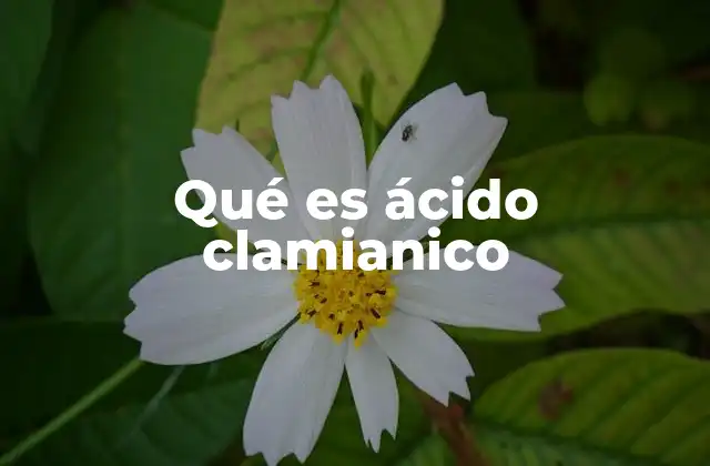 Qué es Ácido Clamianico