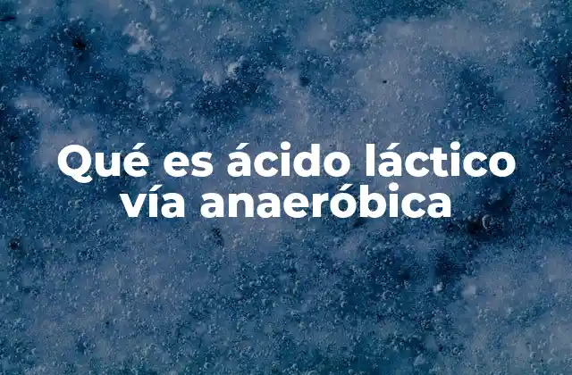 Qué es Ácido Láctico Vía Anaeróbica