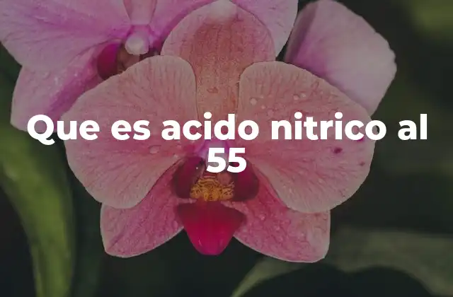 Que es Acido Nitrico Al 55