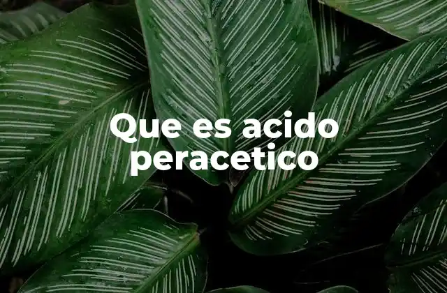 Que es Acido Peracetico