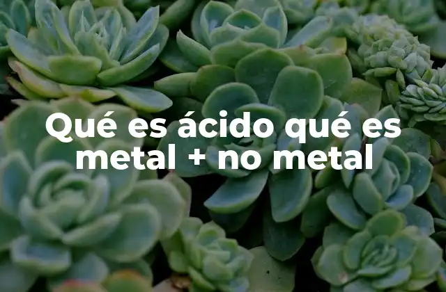Qué es Ácido Qué es Metal + No Metal
